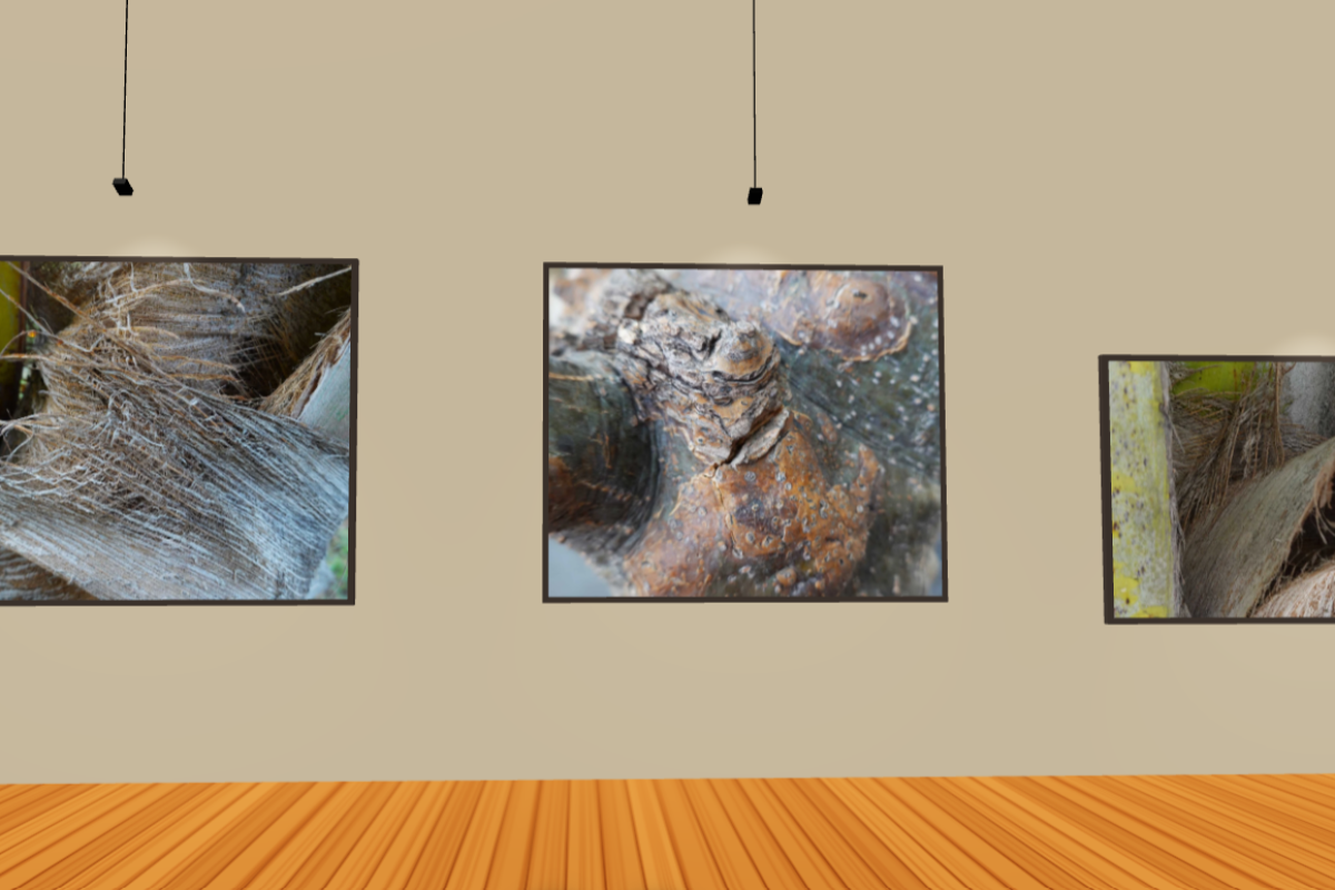 Lens and Texture (Part 1 : 1 to12)